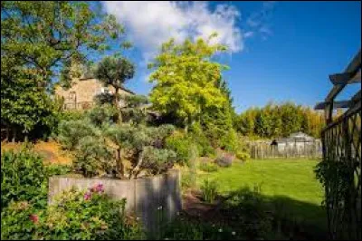 Quel est le plus petit oiseau du monde ?