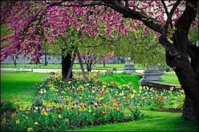 Quel est le plus petit oiseau au monde, connu pour son vol rapide et son battement d'ailes incessant ?