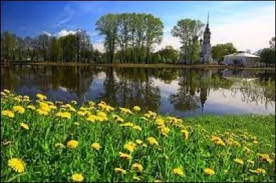 Quelle fleur, souvent utilisée dans les bouquets et les arrangements floraux, est associée à la déesse grecque Aphrodite et à l'amour passionné ?