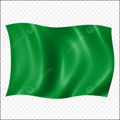À quel pays ce drapeau entièrement vert appartenait-il ?