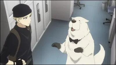 Comment s'appelle ce chien ?