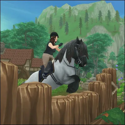 Tu peux avoir plusieurs chevaux.