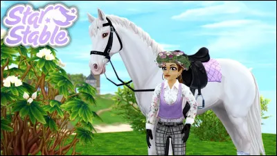 L'&eacute;curie de Jorvik est un centre de colonie &eacute;questre.