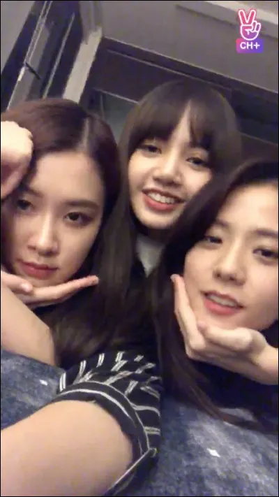 Quelle membre est née le 3 janvier 1995 ?