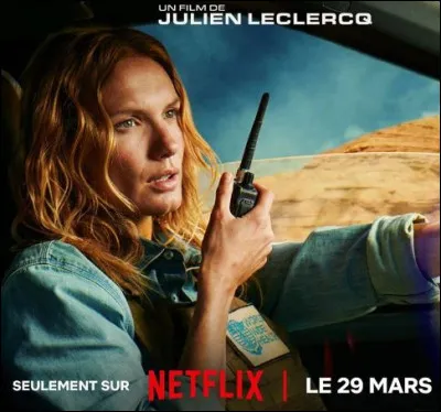 Et cette affiche ? A quel film Netflix fait-elle référence ?