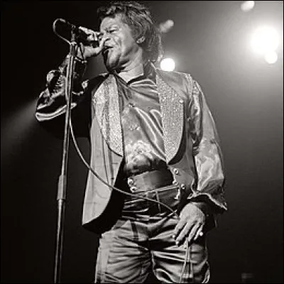 James Brown, au carrefour du gospel, du rhythm and blues, de la soul, du blues et du rock, synthétisant toute la musique noire américaine du XXe siècle, est considéré comme le parrain...