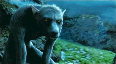 Dans ''Harry Potter et le Prisonnier d'Azkaban'', qui sauve Harry, Ron et Hermione de Lupin en loup-garou ?