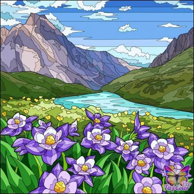 Missouri : on va comparer la longueur du fleuve et de son affluent. Lequel est le plus long ?