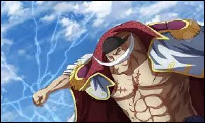 Dans quel animé apparaît ce personnage ?