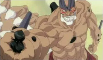 Dans quel animé apparaît ce personnage ?