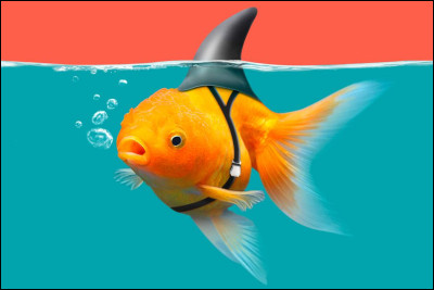 Comment célèbre-t-on cette fête ?