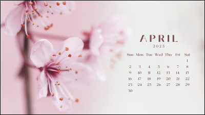 En même temps que quelle fête a eu lieu le poisson d'avril, en 2024 ?