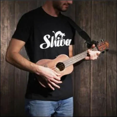 Quel chanteur, interprète du titre "Porto-Vecchio", a participé à un télé-crochet accompagné de son ukulélé ?