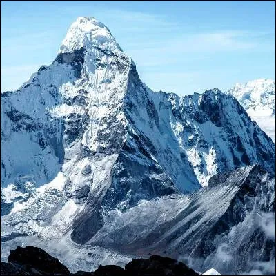 Quel bovidé porte un nom scientifique indiquant quil grogne, alors que les autres bovidés meuglent ?