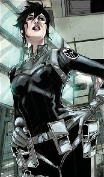 Qui a joué Maria Hill, l'agent du SHIELD ?