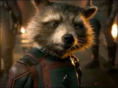 Et enfin, qui a doublé Rocket Racoon en VO (Version Originale) ?