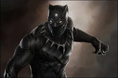 Qui a joué le roi T'challa, c'est-à-dire Black Panther ?