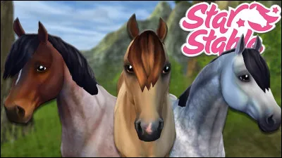 Vrai ou faux : le Connemara est le tout premier cheval de troisième génération à avoir vu le jour.