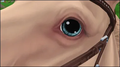 Pouvez-vous reconnaître cette race-là ?