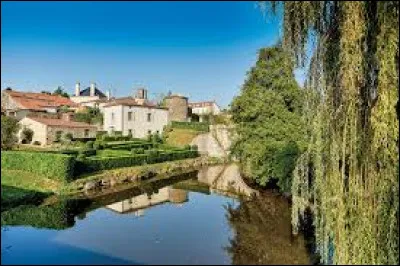 Pour finir, je vous emmène dans les Pays-de-la-Loire à la découverte de Vouvant. Village de l'arrondissement de Fontenay le Comte, classé parmi les Plus Beaux Villages de France, dans un des méandres de la Mère, il se situe dans le département ...