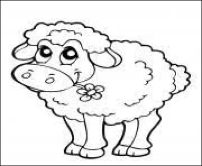 Il est de race caussenarde ce mouton malicieux ! Quelle est la couleur de ses oreilles ?
