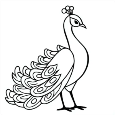 S'il n'est pas bleu, vert, violet et doré, il est...