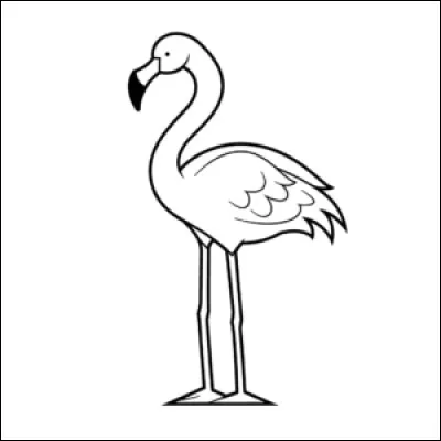 Vous avez reconnu le flamant rose, mais savez-vous comment sont ses chevilles ?