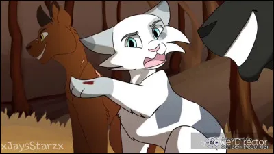 Pourquoi son nom est-il IvyPool qui signifie Mare ou Lac de Lierre ?