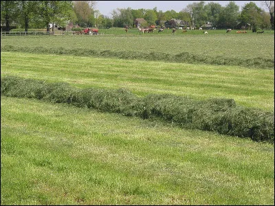 Américain en haut lieu, c'est l'...