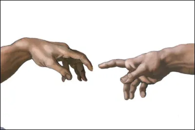 Les doigts contiennent-ils des muscles ?