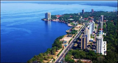 Dans quel pays la ville de Manaus est-elle située ?