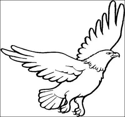 Il est l'aigle royal au beau plumage brun sombre sur le corps et brun doré ou brun roux pour les plumes du cou et de la poitrine. 
Comment peindre son bec ?