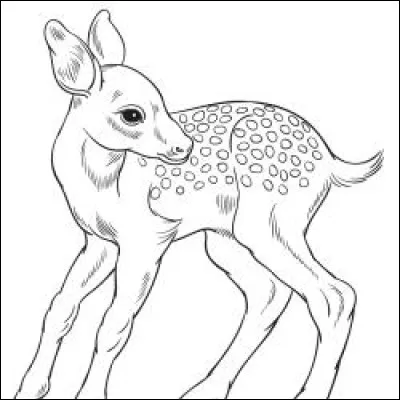 La jeune biche vous demande de retoucher simplement les taches de sa robe entre brun clair et doré.