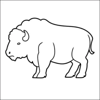 Ce bison d'Europe pose pour le peintre qu'il surveille d'un il avisé, et nous sommes en hiver. Quelle nuance faut-il alors choisir ?