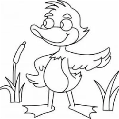 Il se présente sous son meilleur jour, ce canard facétieux ! Il se prend pour Donald, mais nous le voulons gibier d'eau et grand siffleur.
Le contexte est posé et vous savez alors appliquer la bonne couleur sur les plumes de sa tête.