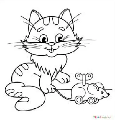 Il est amusant ce chat s'exerçant au jeu de la souris. Il veut que vous retouchiez son portrait. Ne ratez pas la couleur de ses yeux, il est tonkinois.