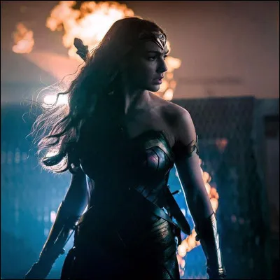 Qui chante "My Lady Héroïne" en 1977 ?