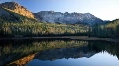 Dans quel pays peut-on se balader dans la forêt nationale de Malheur ?