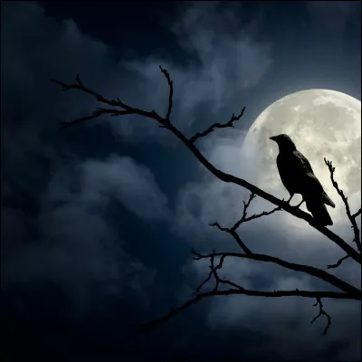 Qui chante "Beau malheur" en 2013 ?