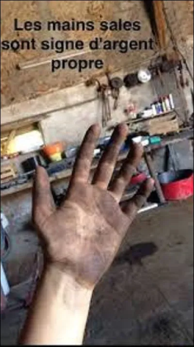 De combiens d'os est composée la main d'un adulte ?