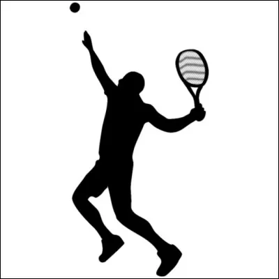Quel tennisman (toujours en activité) a le plus grand nombre de victoires en Grand Chelem ?