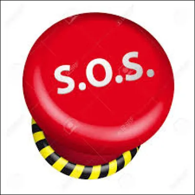 Qui a interprété la chanson "SOS" en 2006 ?