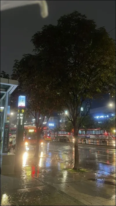 Quelle saison préfères-tu ?