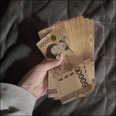 Seras-tu à l'aise pour payer en monnaie coréenne et t'adapter à la devise sans problème par rapport à ta devise (monnaie) actuelle ?