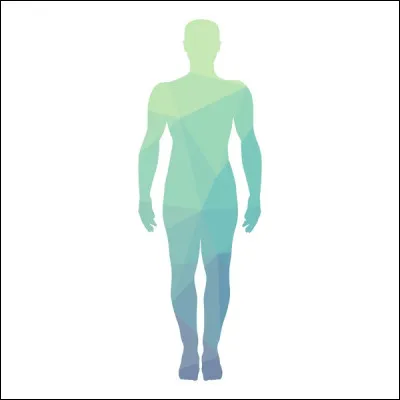 Un peu d'anatomie : où se trouve l'intrus ?