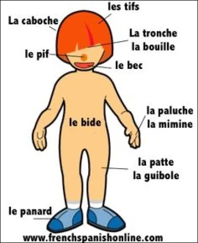 Certaines et certains d'entre vous n'apprécient peut-être pas l'argot, ce n'est pas grave !