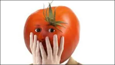 Comment nomme-t-on la crainte pathologique de rougir ?