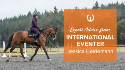 À présent que tu as une identité, tu vas t'inscrire au club. Pour s'inscrire, il y a une fiche où il faut noter sa discipline préférée, si tu as déjà fait des concours et ton Galop. Tout d'abord la discipline, te dis-tu. Quelle est la discipline que tu préfères ?