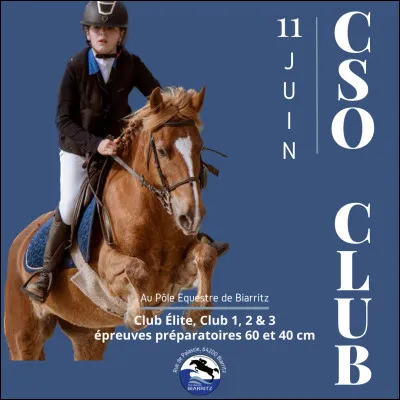 Tu reprends ta fiche et tombes sur la question : as-tu déjà fait des concours ?