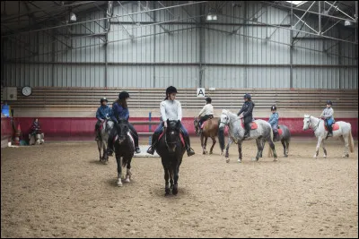 Tu vois une fiche avec le nom de tous les chevaux du club, lequel t'inspire le plus ?